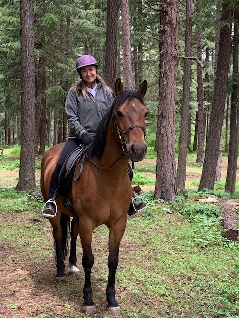 Rider on horseback in a forest trail