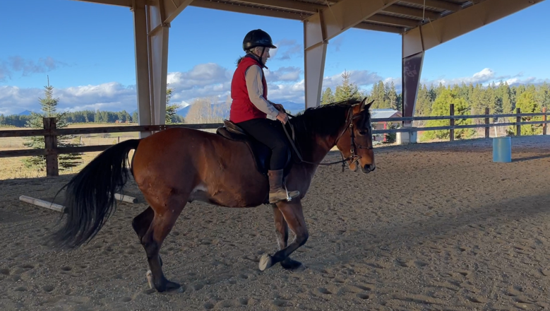 Rider in a red vest and black helmet on a bay horse in a covered arena
